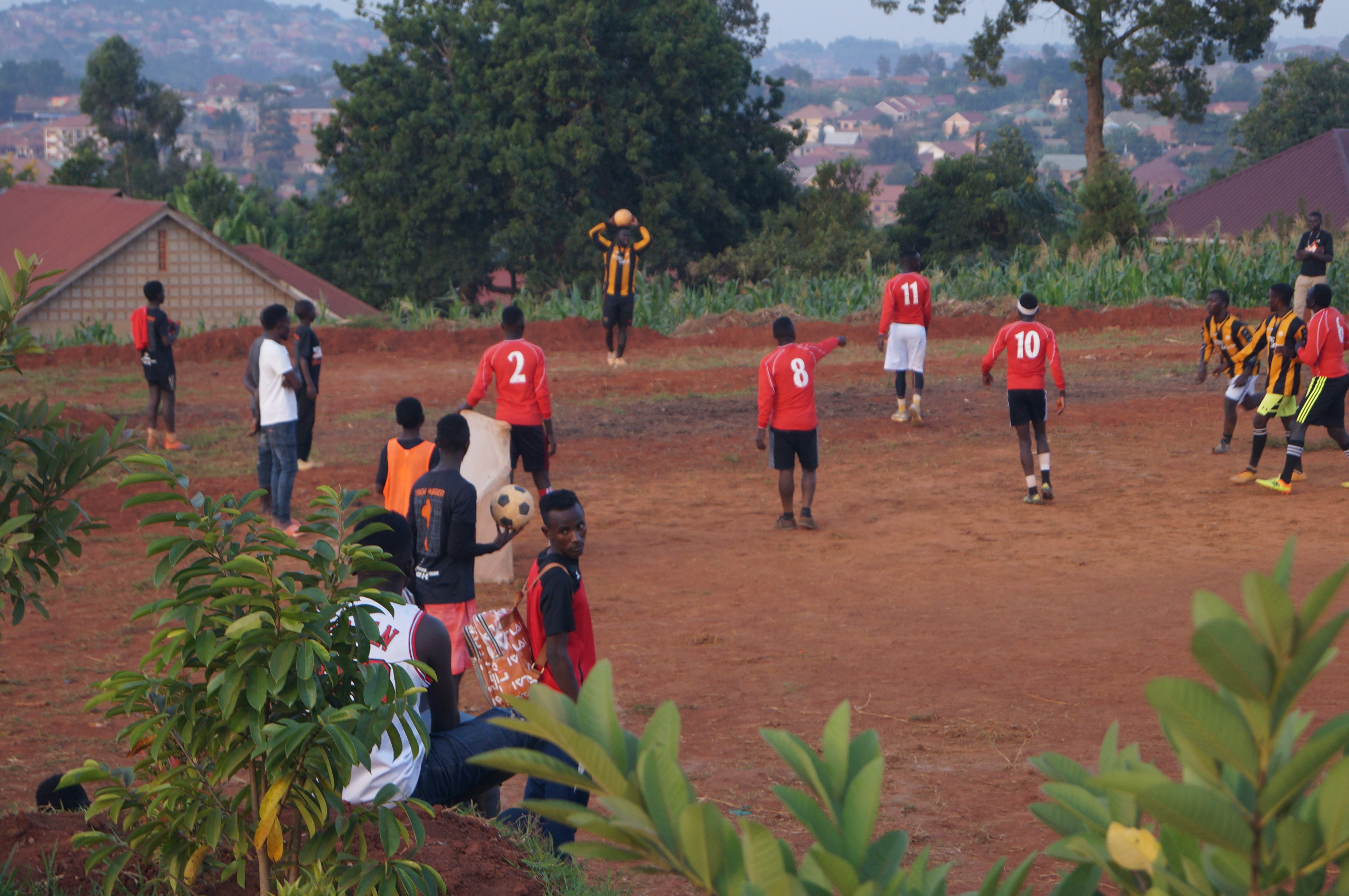 Sunset over a sage scrub landscape